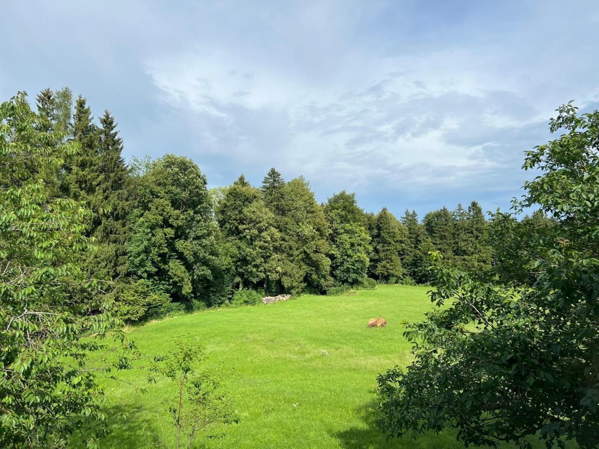 Fewo Staudinger Irschenberg Exterior foto